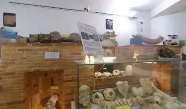 Photo de Musée de minéralogie et de paléontologie
