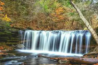 Photo de Ricketts Glen State Park