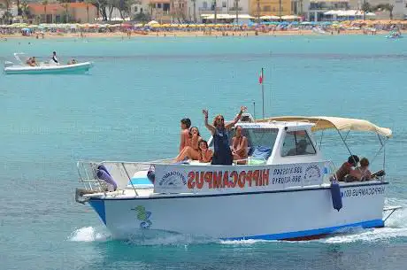Photo de Hippocampus Sea Services