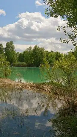 Photo de Area Naturale Protetta Golena del Tevere
