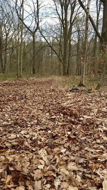 Terrain de cross