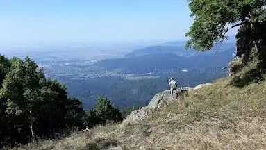 Photo de Hartmannsweilerkopf