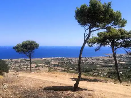Photo de Parco della Misericordia