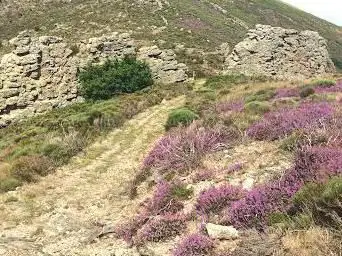 Photo de Portail de Roquandouire