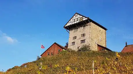 Burg Neu-Altstätten