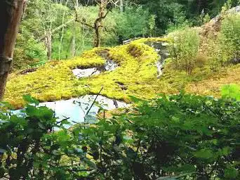 Tufière de Rolampont