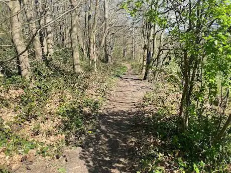 Photo de Ridgehill Woods