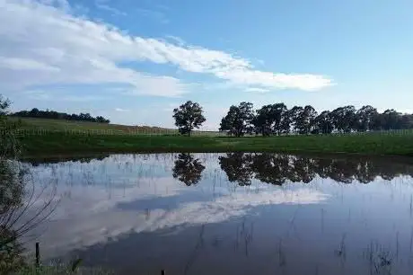 Parco Pontecorvo