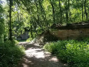 Fort lingo
