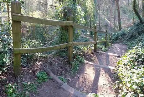 Photo de Little Thicket National Trust