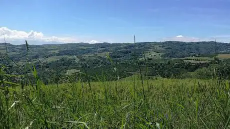 Vista Panoramica - Strada Romantica delle Langhe
