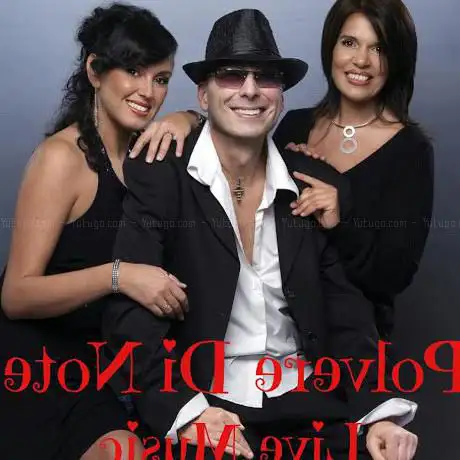 Photo de Musica Per Matrimoni - Polvere Di Note