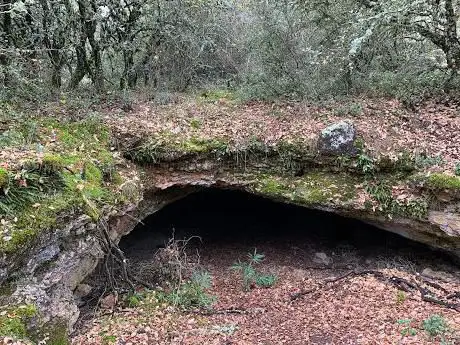 Photo de Cueva Carrera