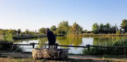 Photo de Etang des marzelles