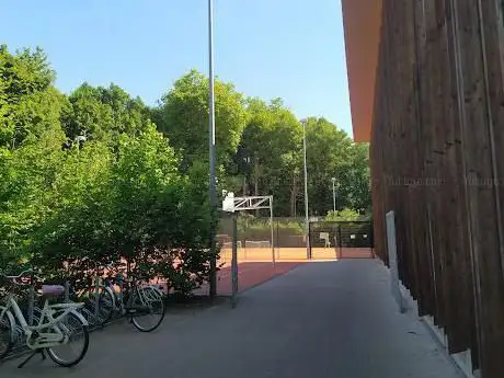 Photo de Basketveld