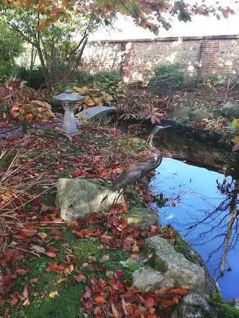 Japonais Garden