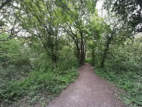 Photo de Nevendon Bushes