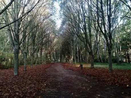 Parc des Glaces