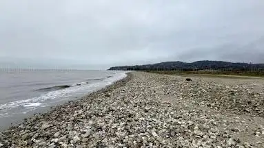 Photo de Plage des marais de Pennedepie