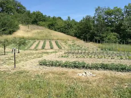 Photo de Località Pineta