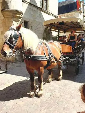 Photo de Les Attelages de Villandry