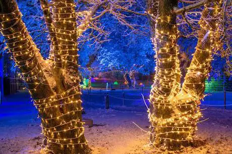Winter Wonderland Bern Gurten