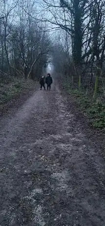 Photo de Moulsecoomb Nature Reserve