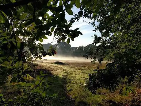 Photo de Earlswood Park