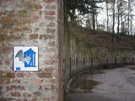 Bats Reserve