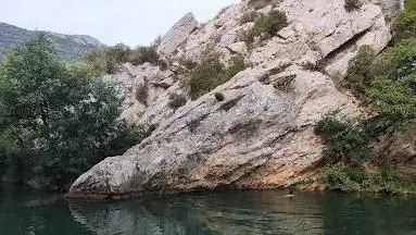 Photo de Å’il de mer