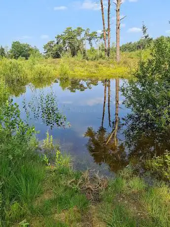 Hoge Mierdse Heide