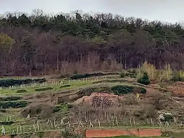 Point de vue 