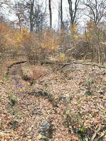 Korker Wald