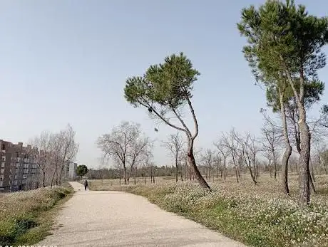Photo de Vicálvaro Forest Park