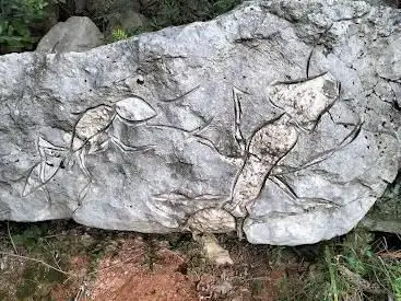 La carrière aux fourmis