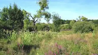 Espace naturel sensible du marais de Lay-St-Rémy et Pagny s/ Meuse