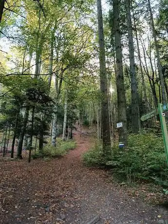 Photo de Aire de déntente du Plan - Diebold