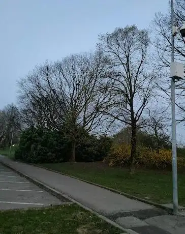 Parco Piersanti Mattarella