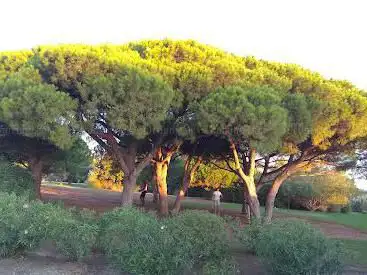 Parc Braudel