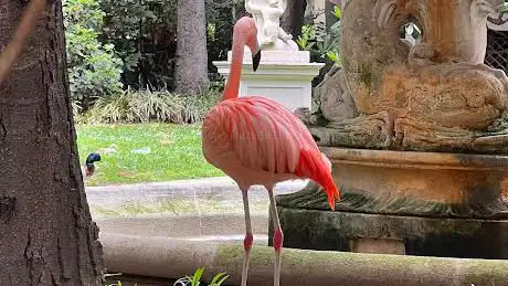 Photo de Fenicotteri Milanesi