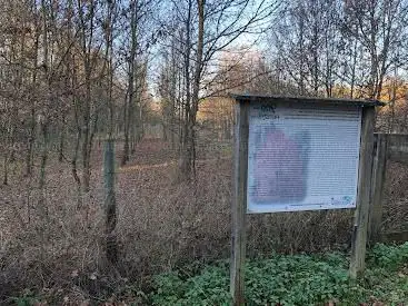 Jubiläumswald Friolzheim