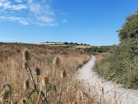 Benfield Valley Nature Reserve
