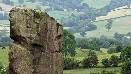 Alport Stone