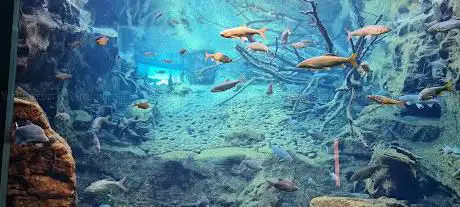 Photo de Alpenzoo aquarium