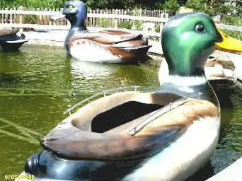 La Ronde Des Canards