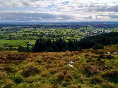 Photo de Slieve Gullion Forest Drive