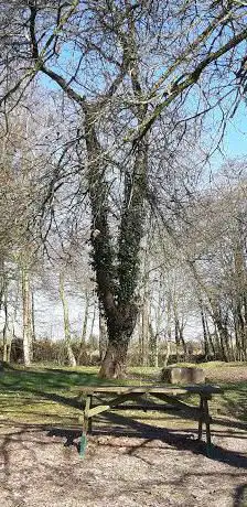 Photo de Arboretum des Hauts Vents