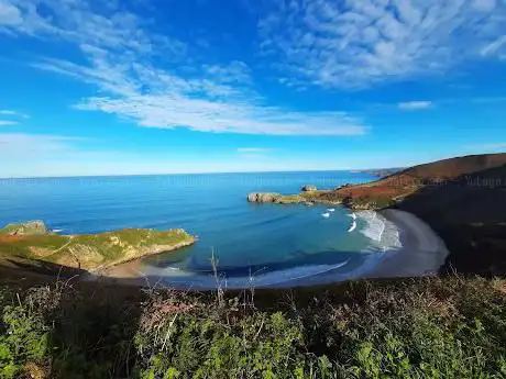 Photo de Mirador playa de Torimbia