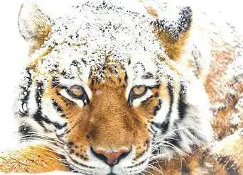 Photo de Zoo de Granby