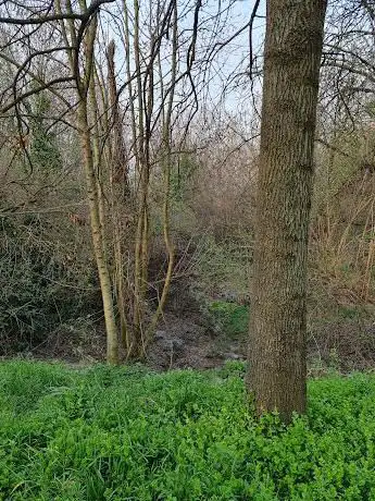Strada s giorgio